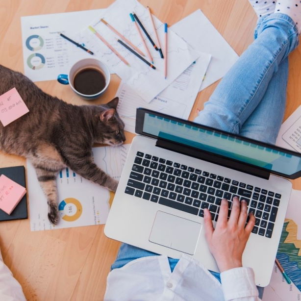 Tiberio News |SMART WORKING: PROROGATO FINO AL 14 MARZO 2024 PER FRAGILI E GENITORI DI FIGLI UNDER 14 